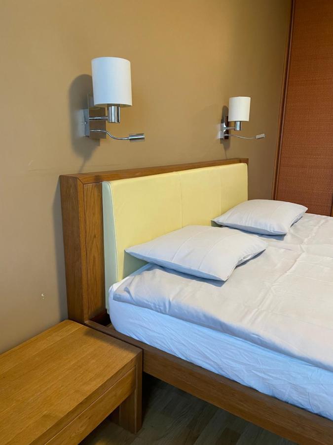 Mg Apartment Kaunas Kültér fotó