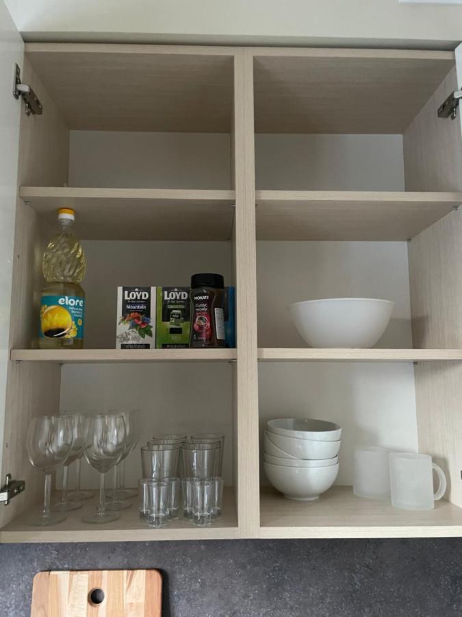 Mg Apartment Kaunas Kültér fotó