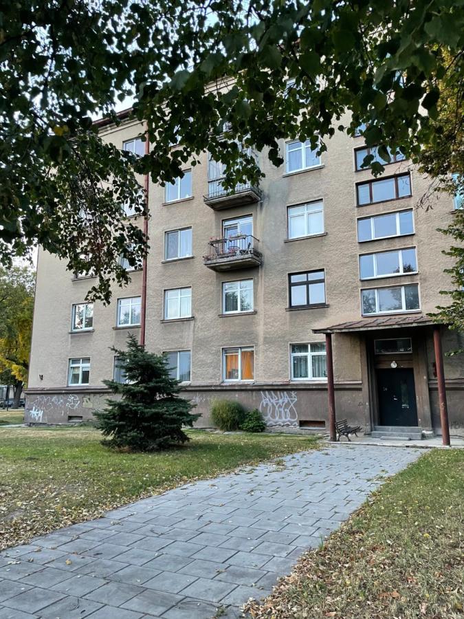 Mg Apartment Kaunas Kültér fotó