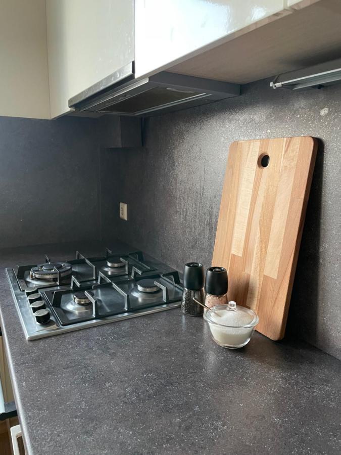 Mg Apartment Kaunas Kültér fotó