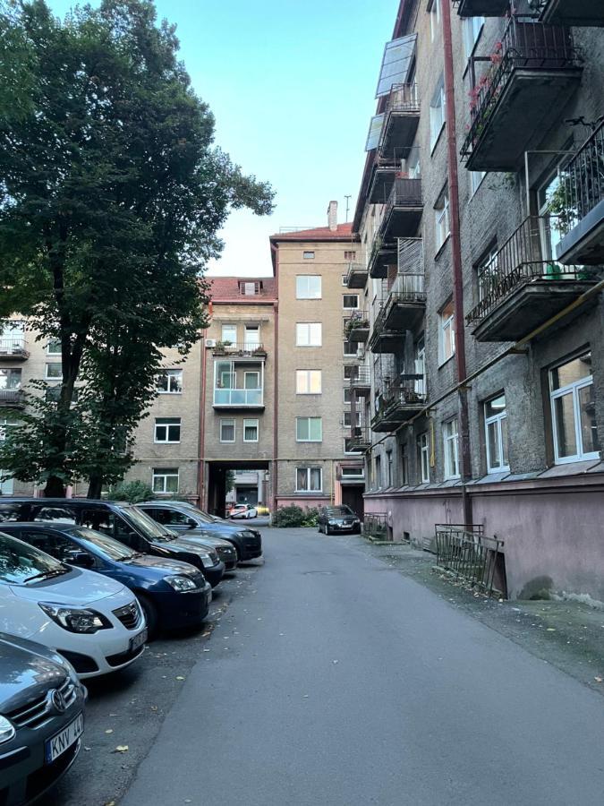 Mg Apartment Kaunas Kültér fotó